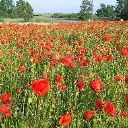 Appartement Ferienwohnung-moorberg-mit-schoener-terrasse-in-ruhiger-lage *