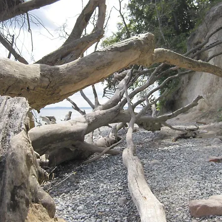 Ferienwohnung-moorberg-mit-schoener-terrasse-in-ruhiger-lage *