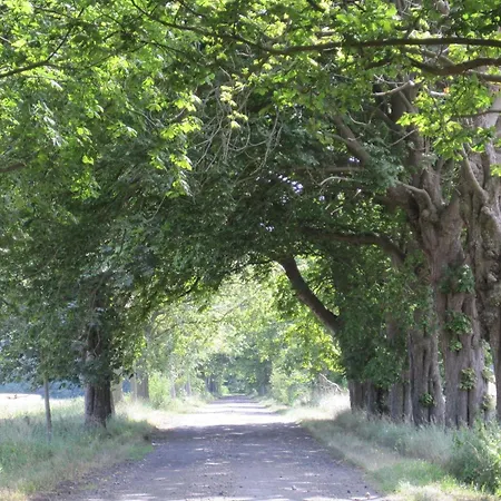 Ferienwohnung-moorberg-mit-schoener-terrasse-in-ruhiger-lage Dreschvitz