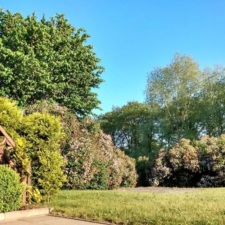 Ferienwohnung-moorberg-mit-schoener-terrasse-in-ruhiger-lage * Dreschvitz