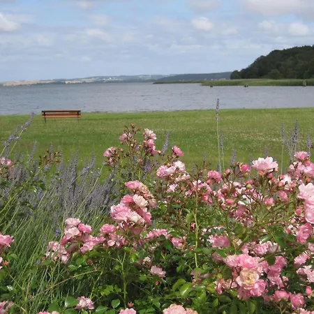 Ferienwohnung-moorberg-mit-schoener-terrasse-in-ruhiger-lage *