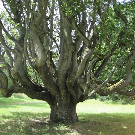 Appartement Ferienwohnung-moorberg-mit-schoener-terrasse-in-ruhiger-lage